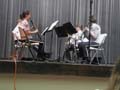 The Clarinet Quartet