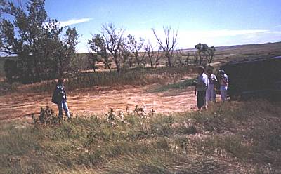Olive's homestead